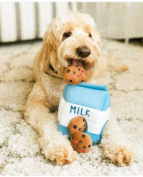 feature-collection-image